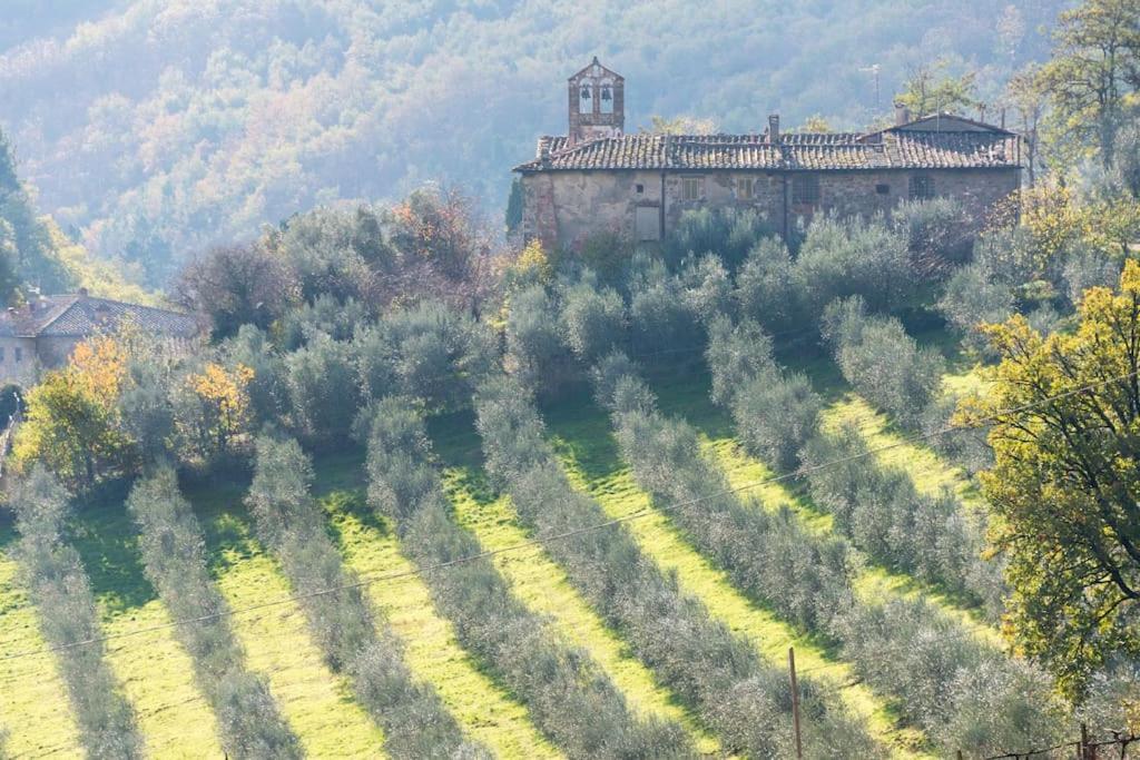 In Massi * Poggio Alla Croce